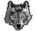 Wolf Auto Group Icon